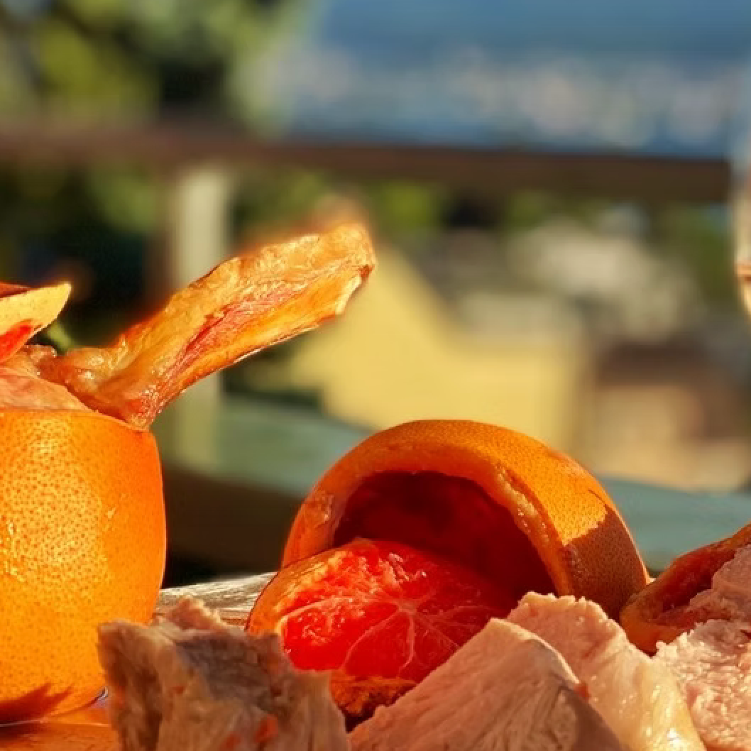 Chicken breast cooked in the orange