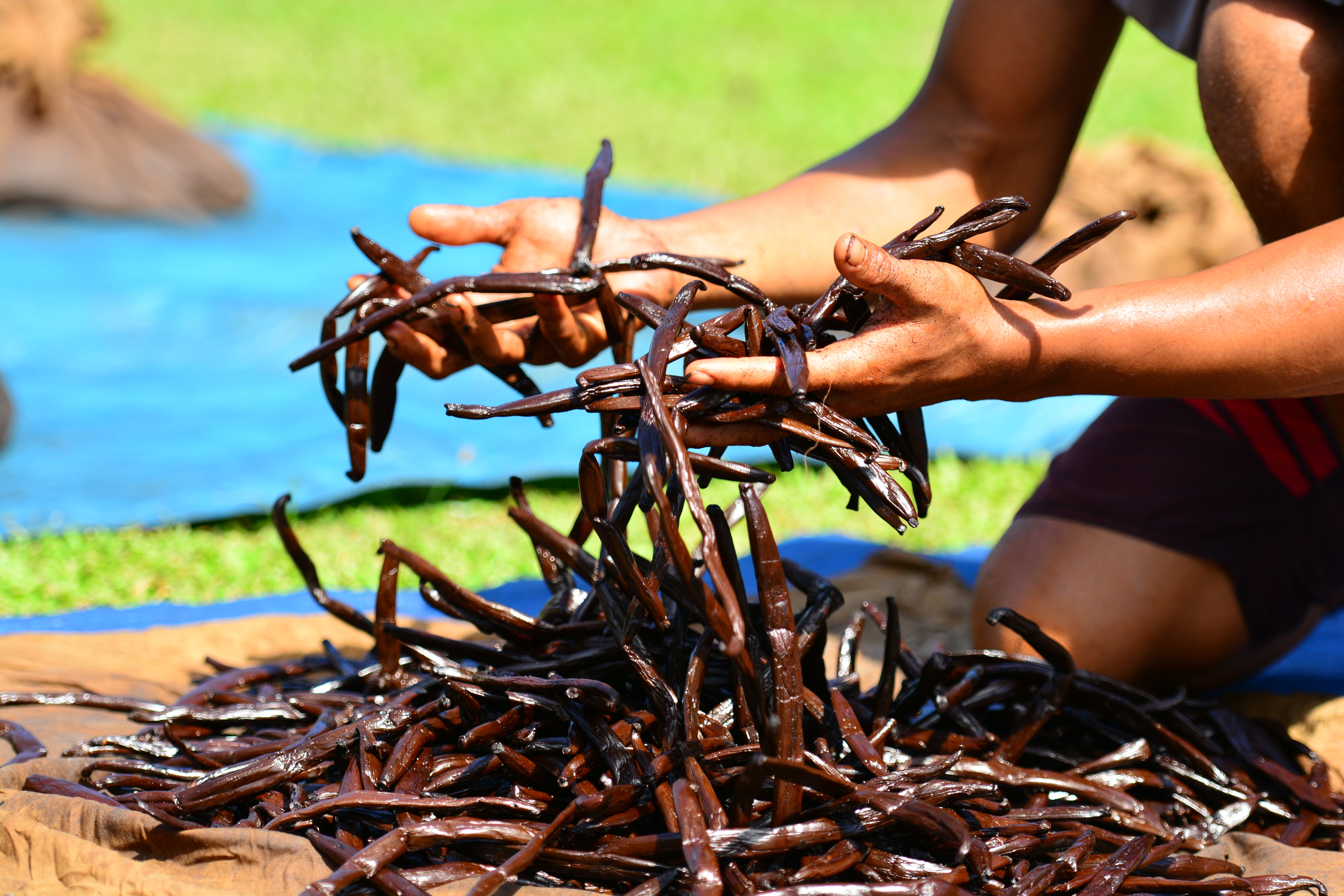 Refill Bag Bora Bora Sea Salt Tahitian Vanilla 1 kg